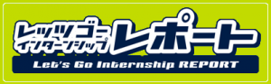 logo-internship_report_400x125_.png